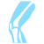 knee-joint